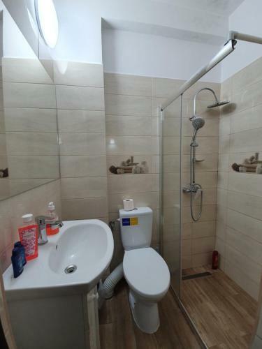 Apartamento Garsoniera Langa Shopping City