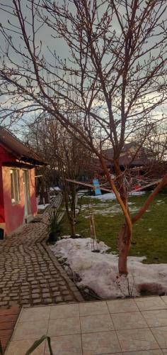 Hostal Casa Terzea