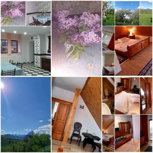 Hostal Pensiunea Ialomicioara