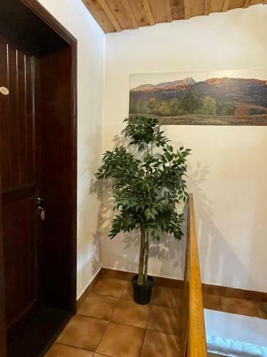Hostal Vila Sofia