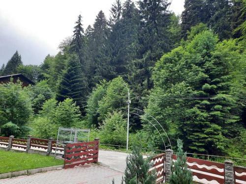 Hostal Vila Visinica