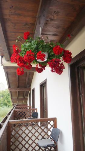 Hostal Pensiunea Medieval