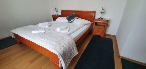 Hostal Pensiunea Alpin
