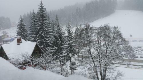 Apartamento Treasure Mountain Predeal