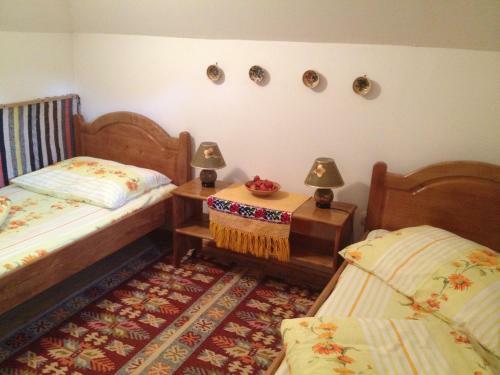 Hostal Pensiunea Turlas Maria