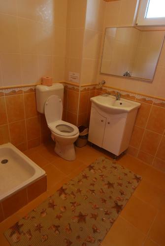 Villa Vila Amira Predeal