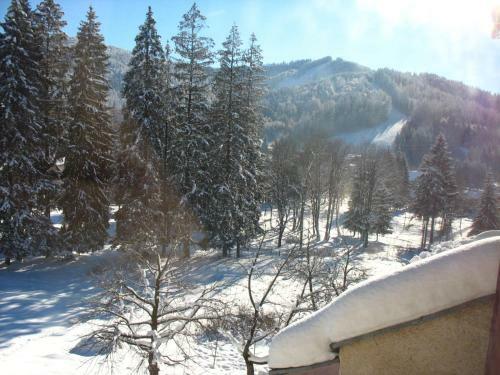 Apartament Viva Predeal