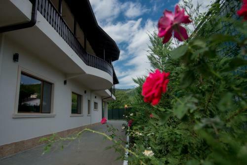 Hostal Pensiunea Duet