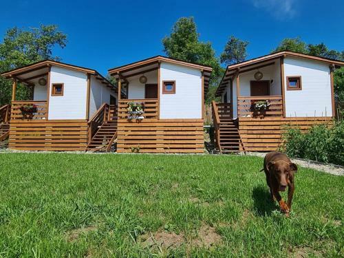 Hostal Flori Haus Saschiz
