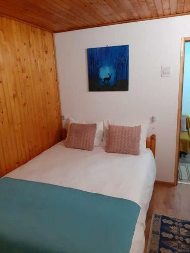 Hostal Pensiunea Floarea Dornei
