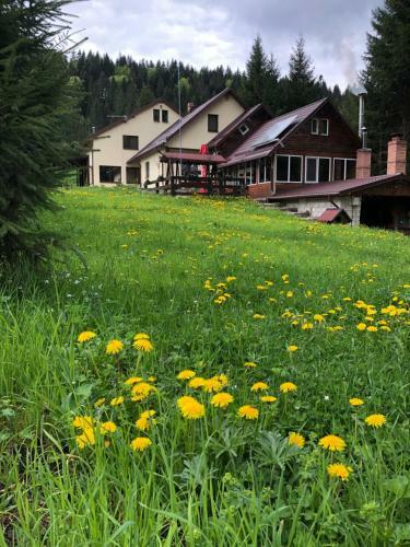 Hostal Cabana Zorile Tarcaului