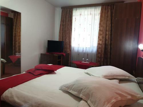 Bed & Breakfast Pensiunea Odn