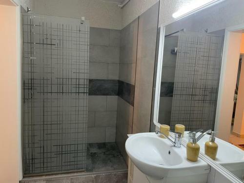 Aqua Apartman Satu Mare