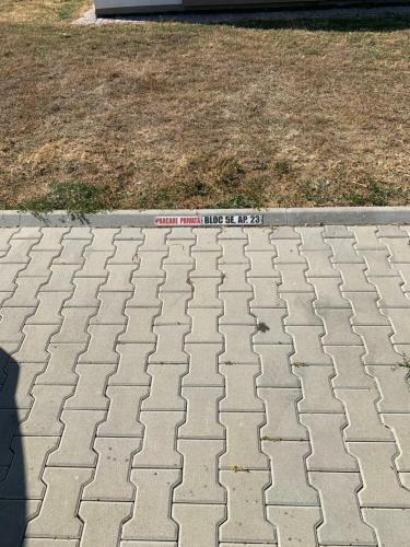 Apartament 23