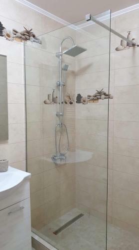 Ema Apartament's Suite