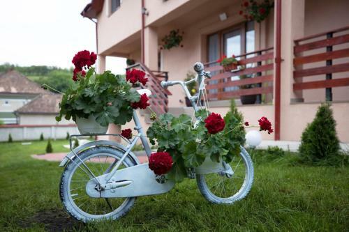 Hostal Muskatli Panzio Sic