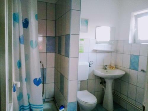 Hostal Pensiunea Bord�s Panzi�