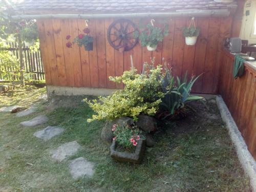 Apartamento Bak� Vend�gh�z