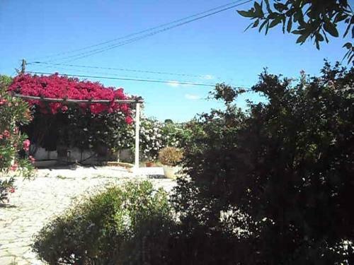 Agroturismo Monte Dos Sabores