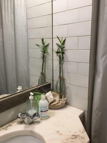 Apartamento Blueview