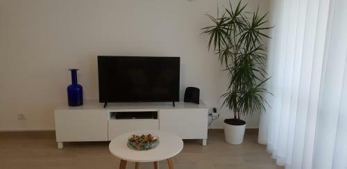 Paradise Beach - Iberlagos Apartment