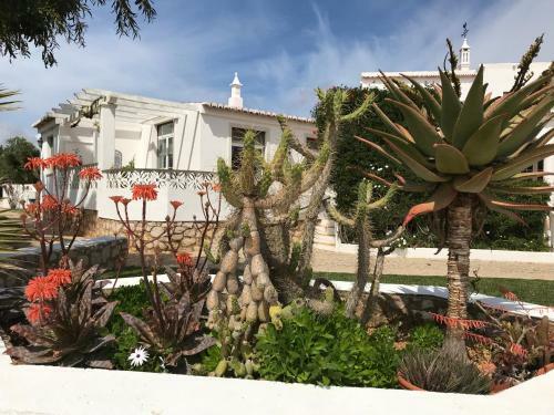 Apartamento Casa Beachcomber Le Jardin Des Arts