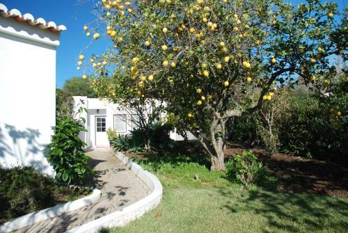 Apartamento Casa Beachcomber Le Jardin Des Arts