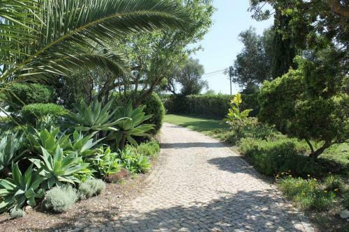 Apartamento Casa Beachcomber Le Jardin Des Arts