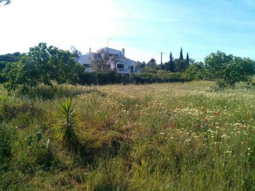 Av Fonte Coberta, Lagos, Villa Fonte Coberta