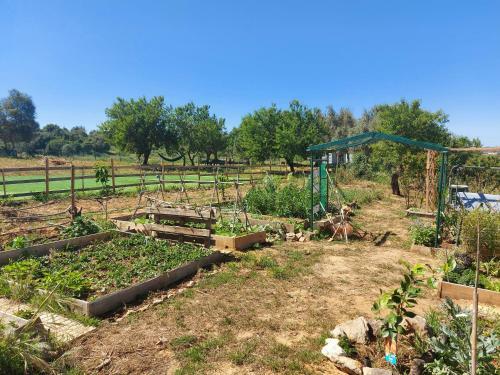 Apartamento Quinta Do Sol