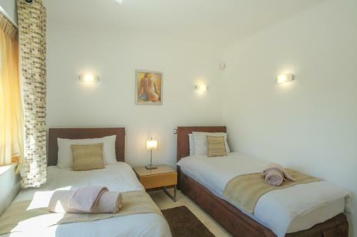 Casa Monte Cristo Apartments - Almond