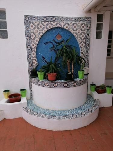Hostal Iguana Guesthouse