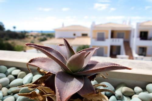Apartamento Beija-flor