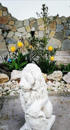 Agroturismo Voinescu House