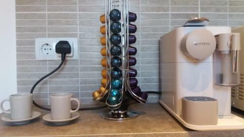 Apartament Saguna