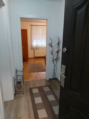 Apartament Ambrus