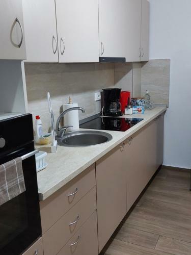 Apartament Ambrus