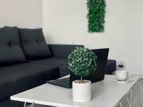 Dax Apartment