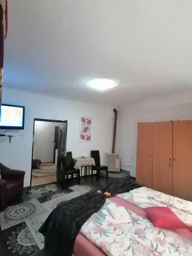 Apartamento Made In Transilvania