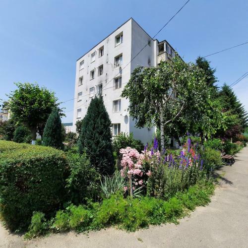 Apartament Mara