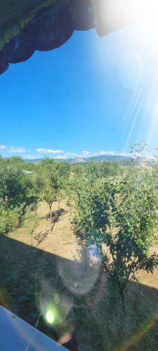 Villa La Gradina