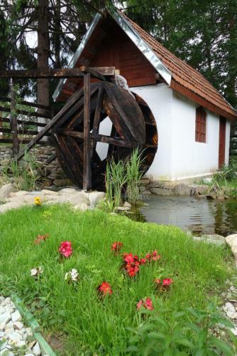 Hostal Pensiunea Deceneu