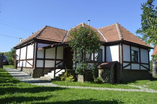 Villa Casa Vatra Sinteului