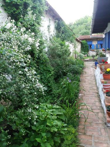 Casa Anca Cheile Nerei