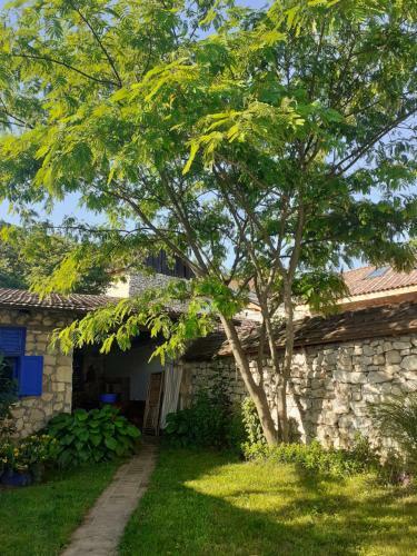 Casa Anca Cheile Nerei
