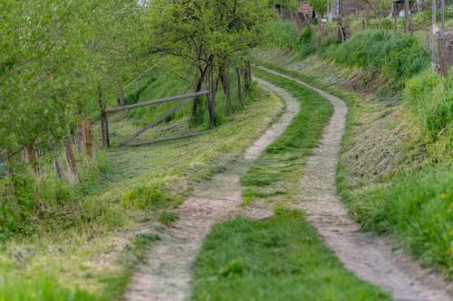 Experience Transylvania Stej?reni 106