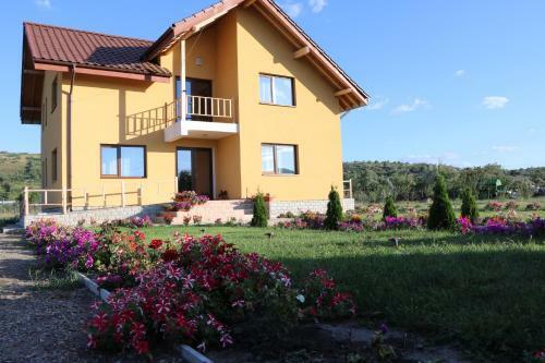 Hostal Pensiunea Diana