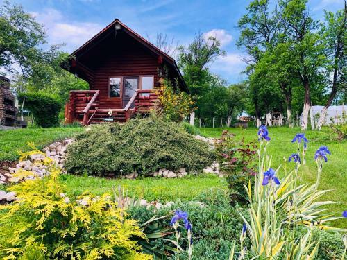Hostal Agropensiunea Colev