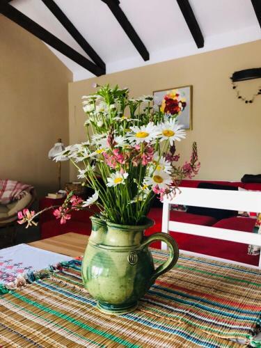 Hostal Agropensiunea Colev