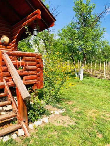 Hostal Agropensiunea Colev